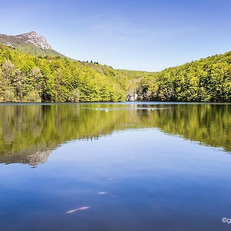 Хостел Hostal L'Avet Blau Santa Fe de Montseny Екстер'єр фото