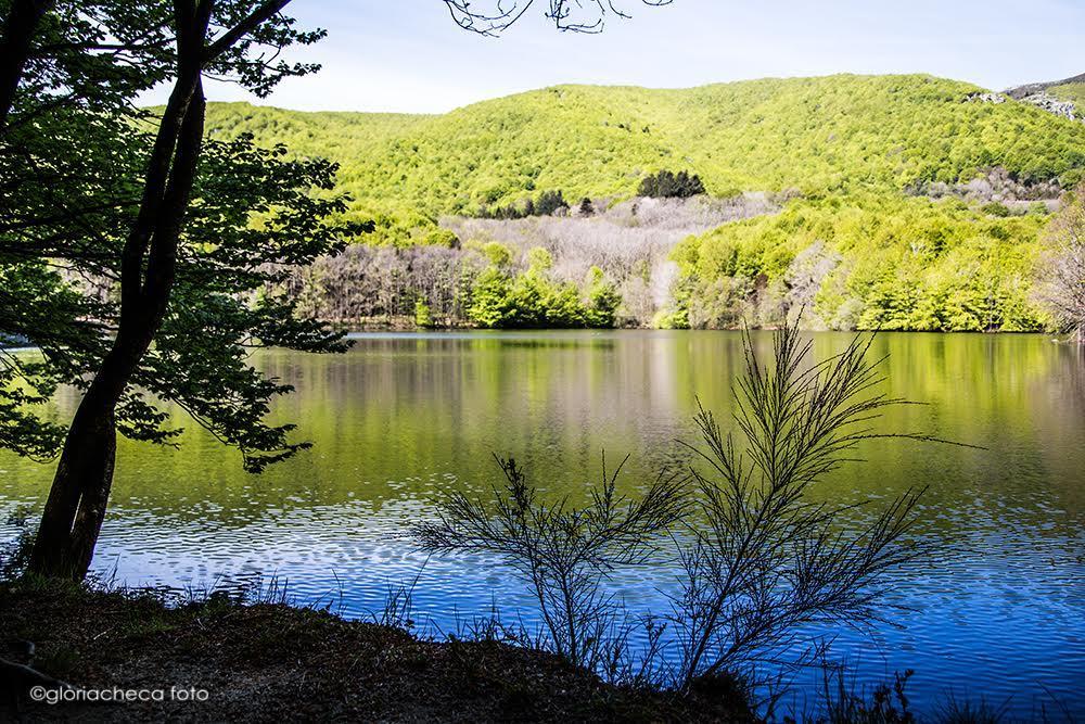 Хостел Hostal L'Avet Blau Santa Fe de Montseny Екстер'єр фото